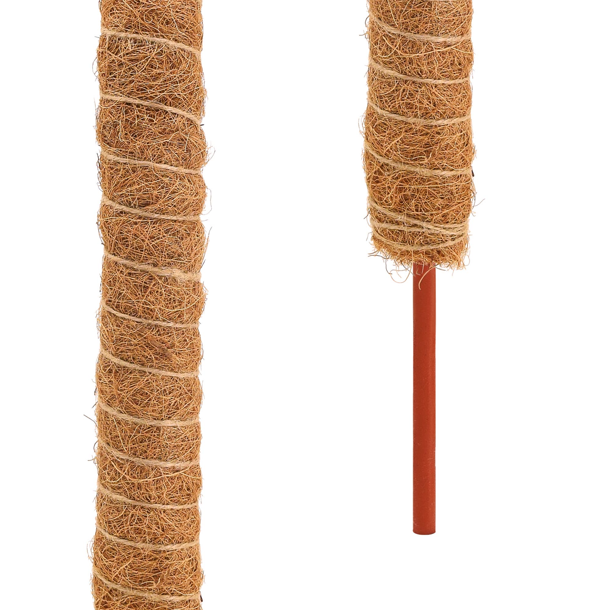 Bendable Coconut Grow Pole - 24"