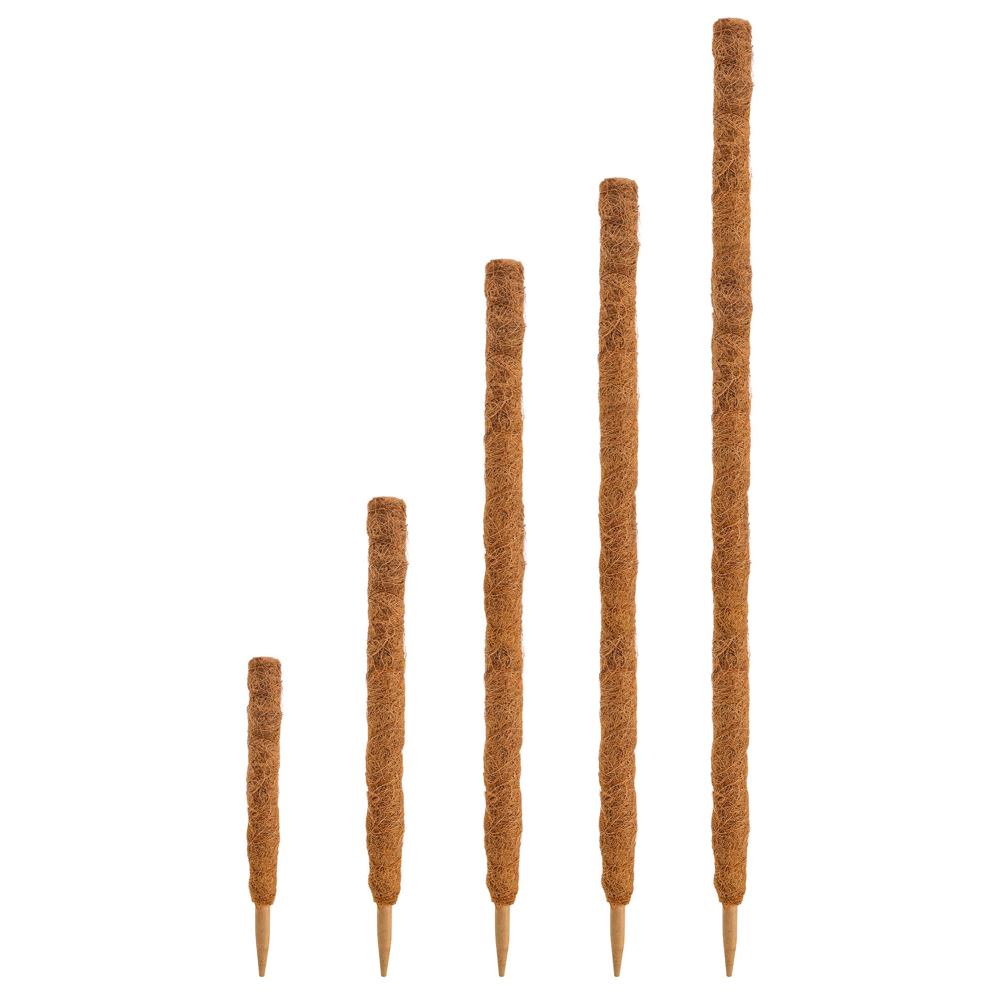 Coconut Grow Pole - 15.8"