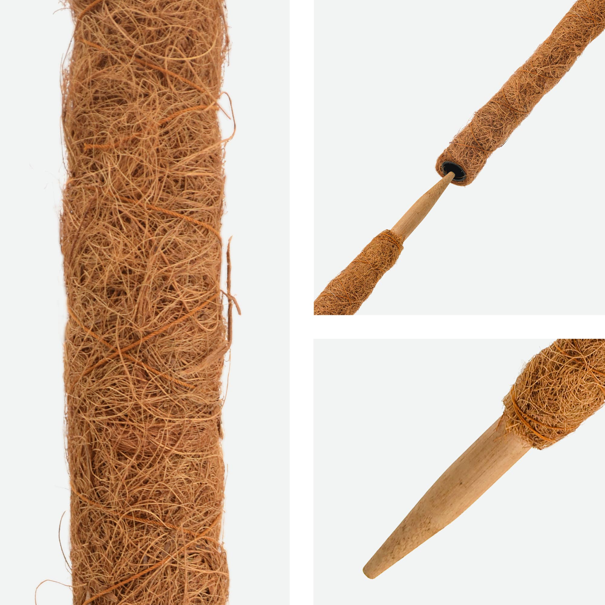 Coconut Grow Pole - 15.8"